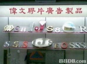 伟文胶片广告制品 您的全方位户外广告与平面设计专家